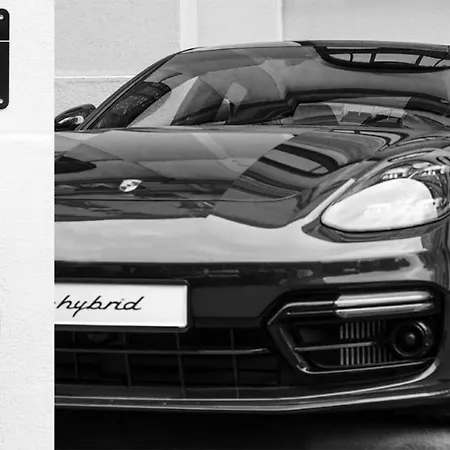 מלון Badrutt's Palace